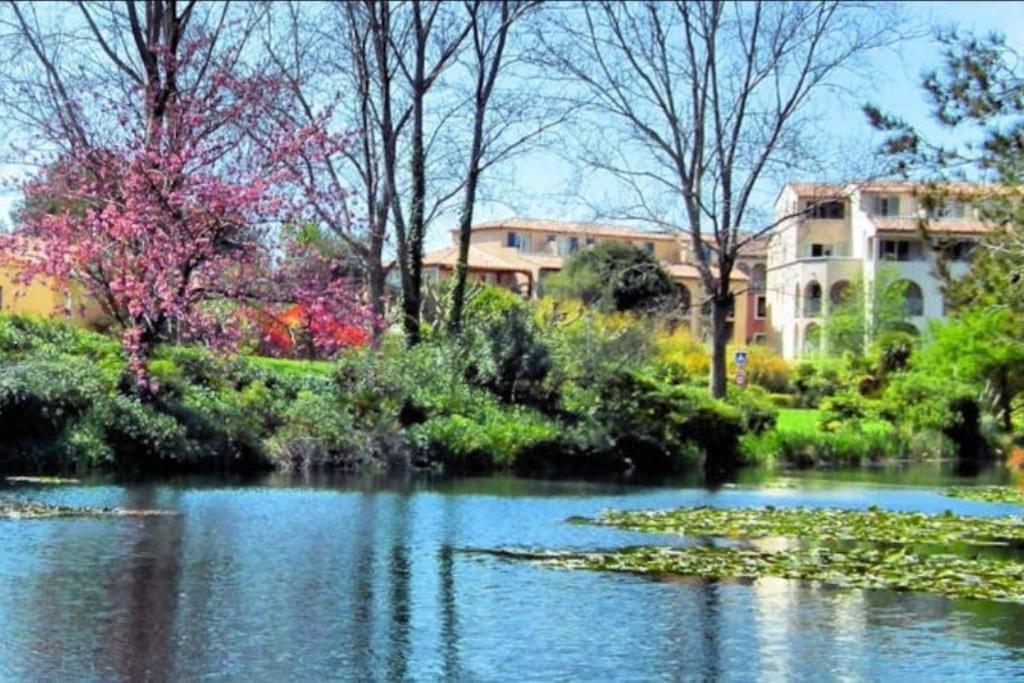 Duplex T3 Avec Jardin, Bord De Mer Et Parking Six-Fours-les-Plages Exterior photo